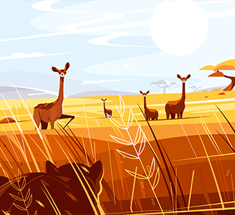 Illustration 3